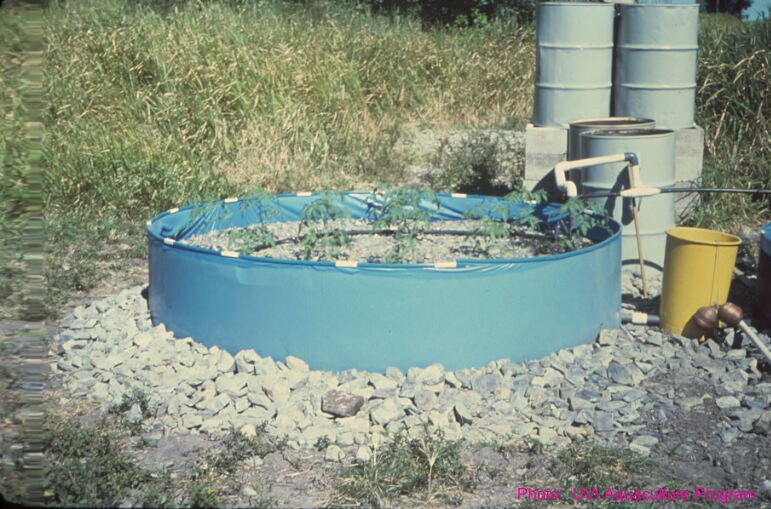 Wading pool system for aquaponics